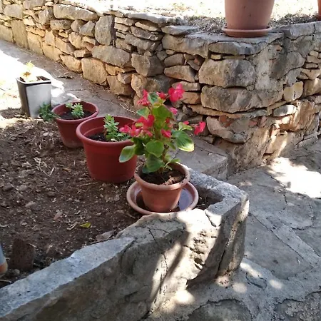 Holiday Jere Tatil Evi