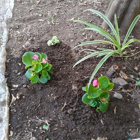 Holiday Jere Postira